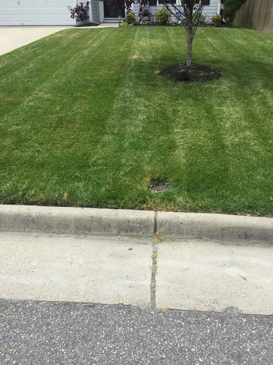 K & B Lawn Care, photo 3
