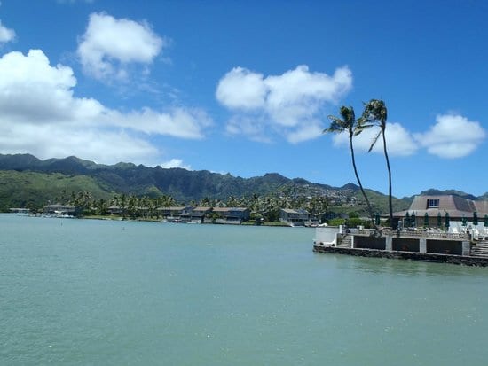Hawaii Dental Clinic - Koko Marina, photo 2