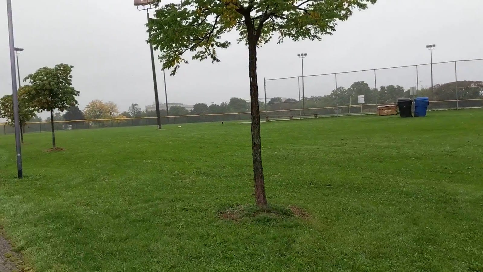 Baycrest Park, photo 2