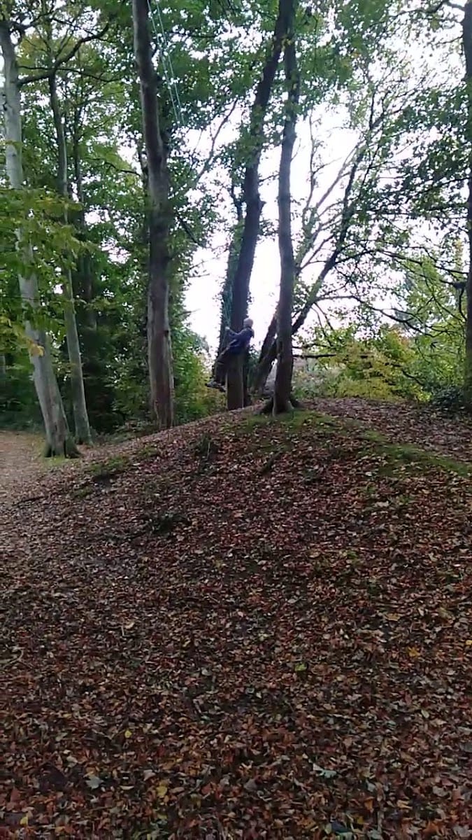 Woodlands Park, photo 2