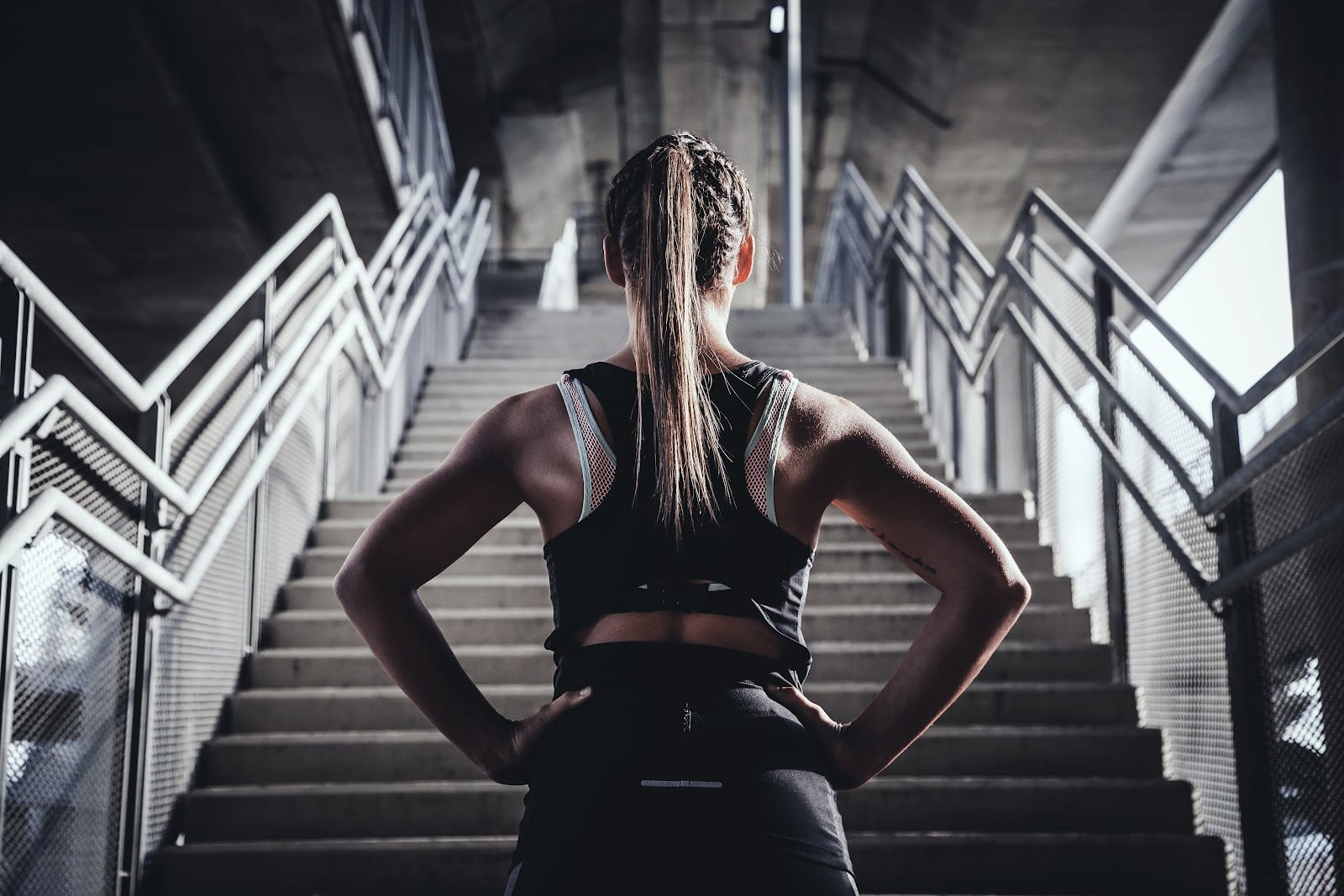 Live Fit Gym • Cole Valley, photo 2