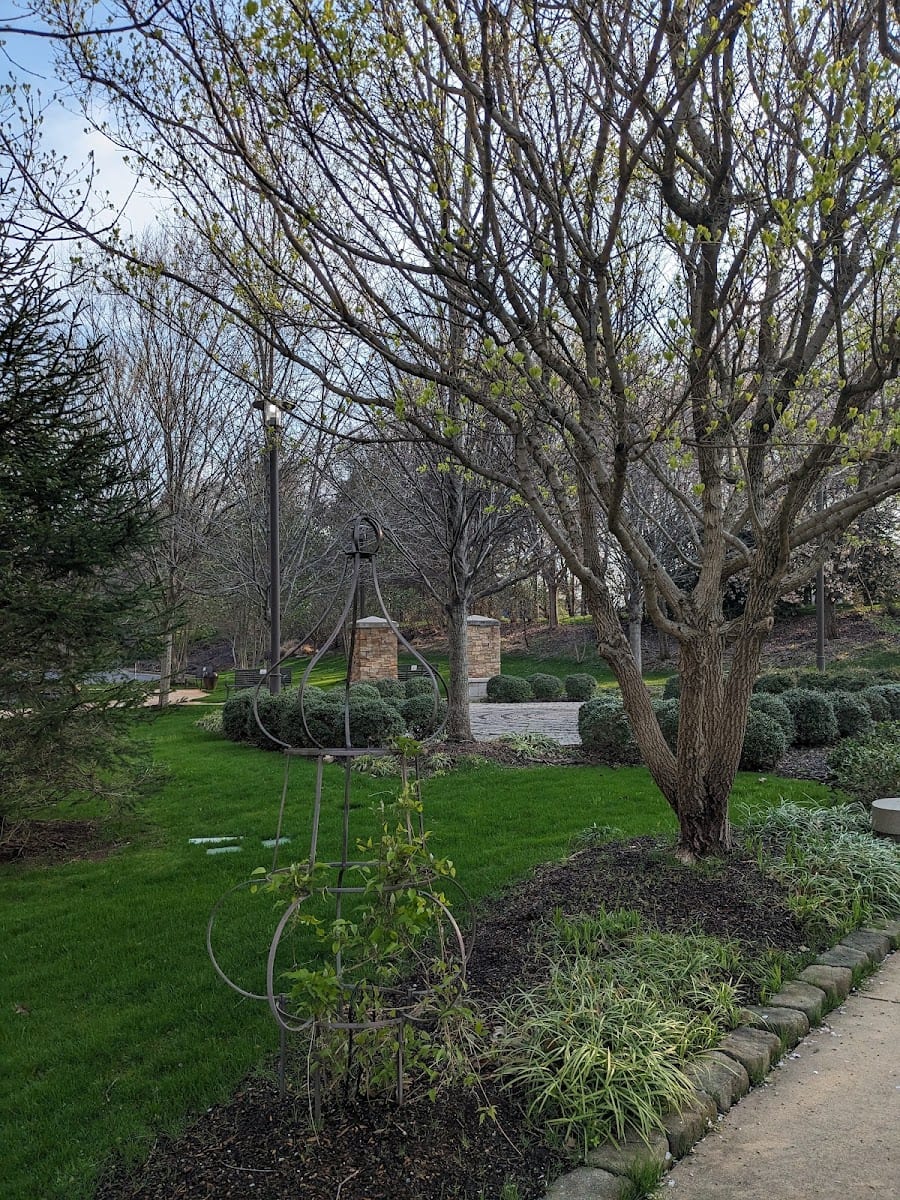 Healing Garden, photo 3