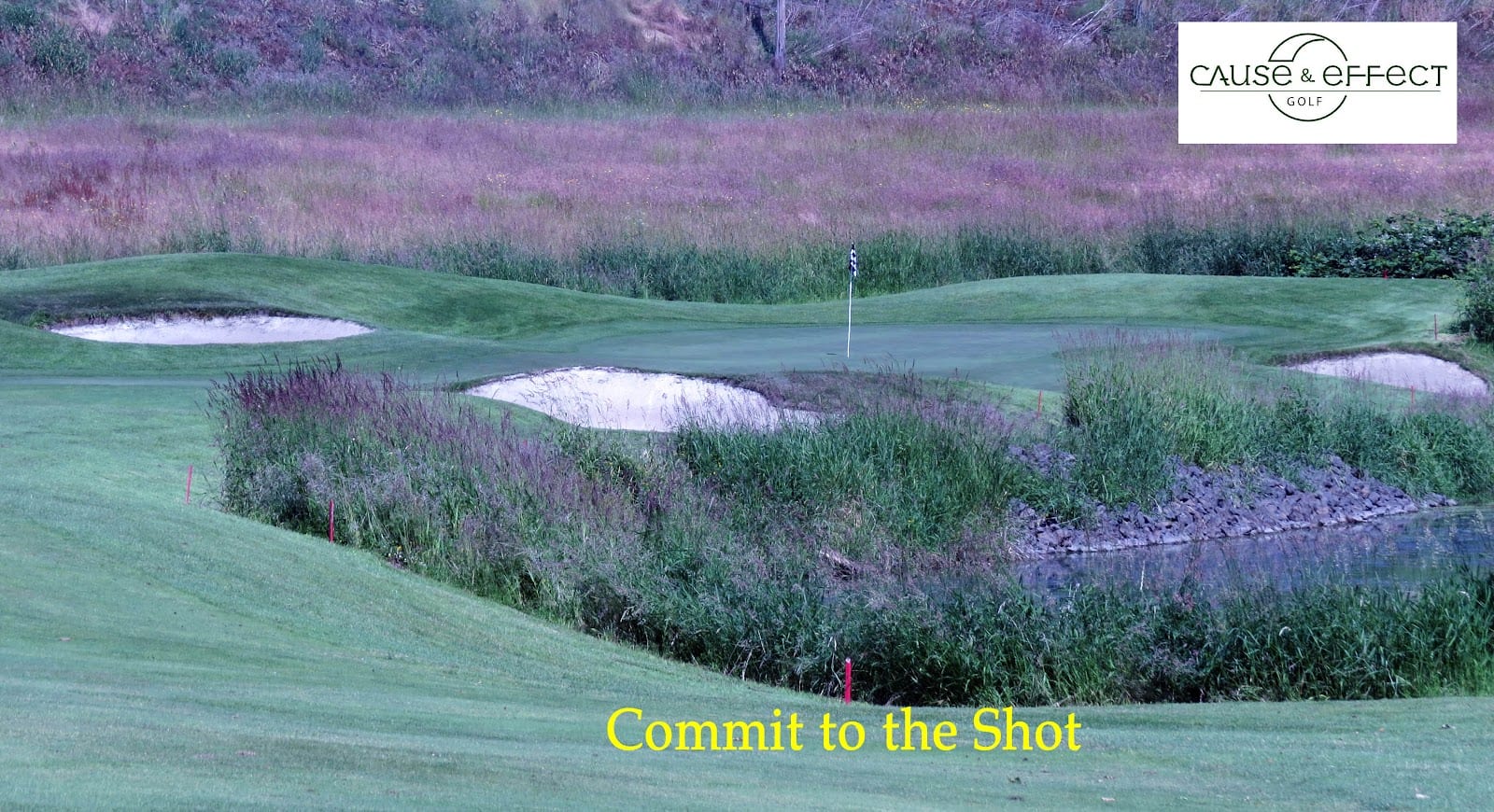 Cause & Effect Golf, Golf Instruction