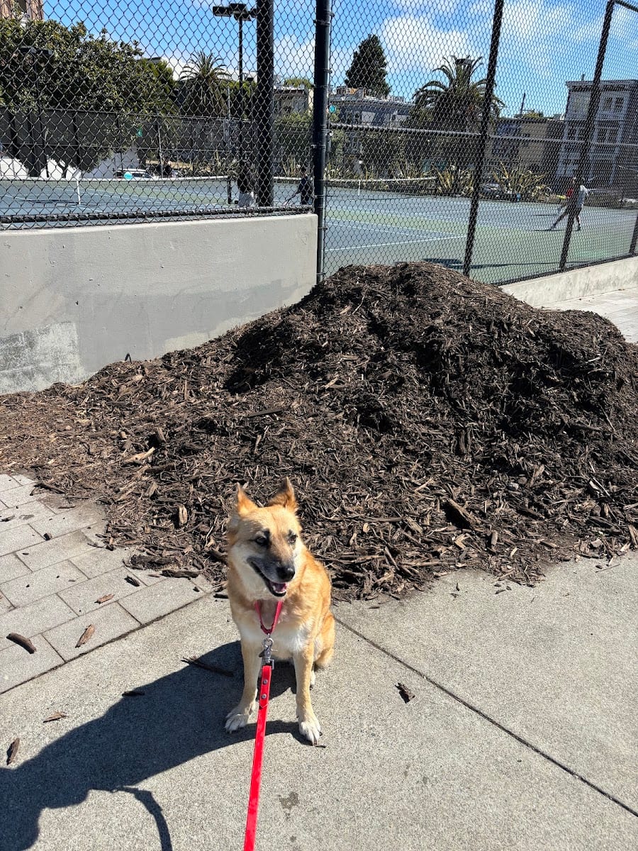 Mission Dolores Dog Play Area North, photo 3