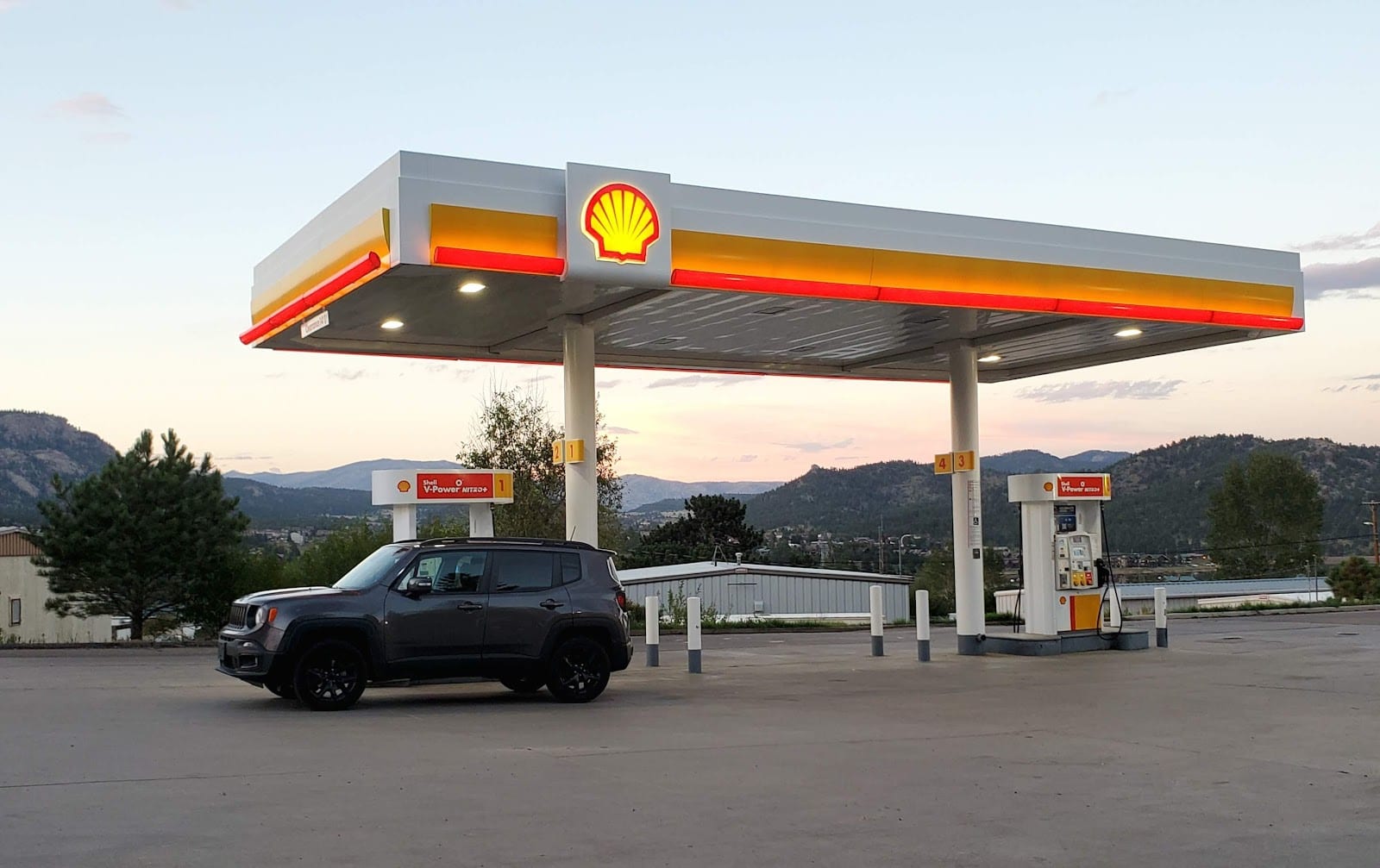Shell, photo 3