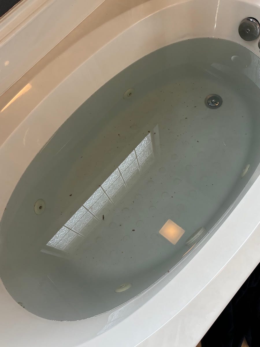 806 Property Management, photo 3