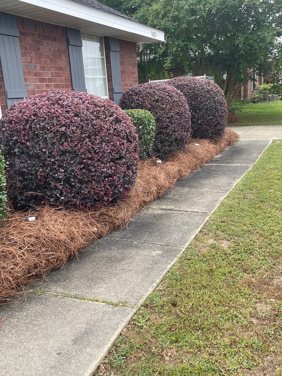 TopNotch Landscape, LLC, photo 3