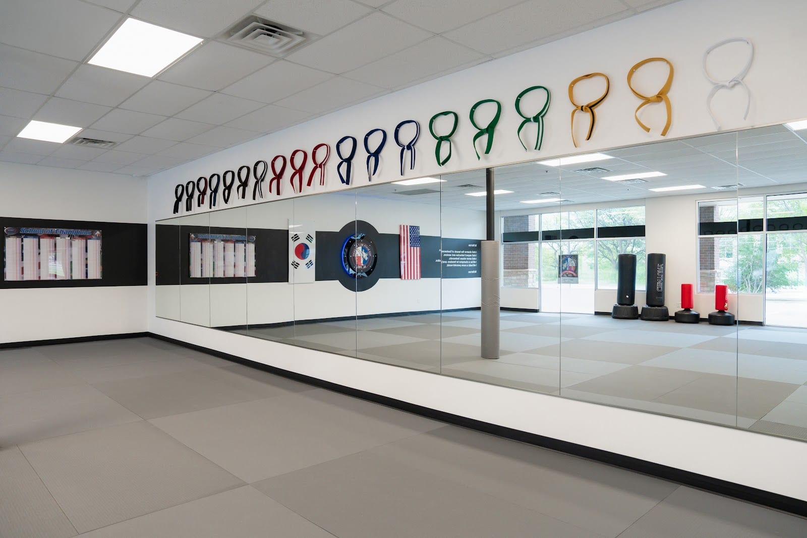 Pro Black Belt - Flower Mound, photo 3