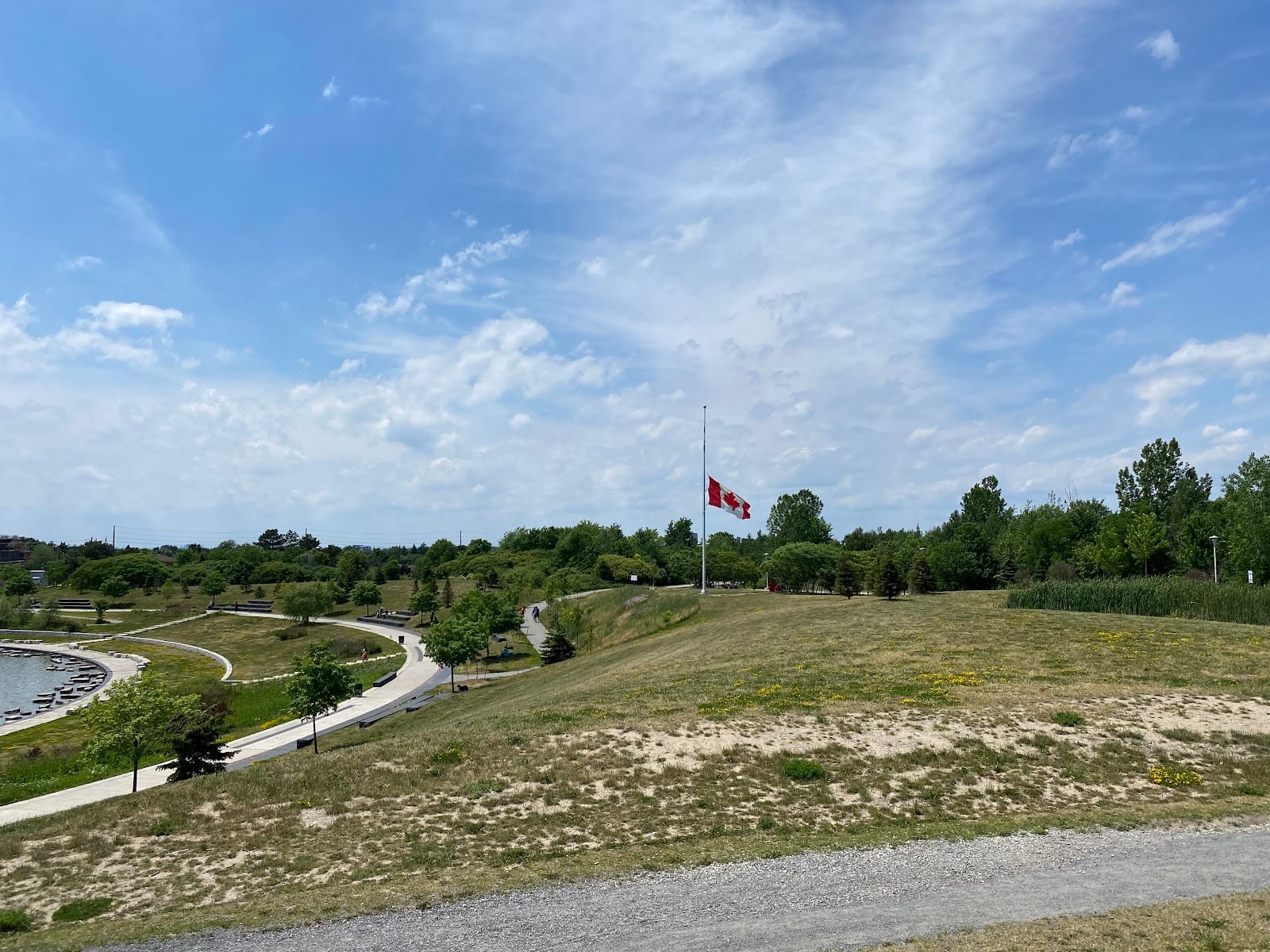 Dogsview Park (Dog Park), photo 2