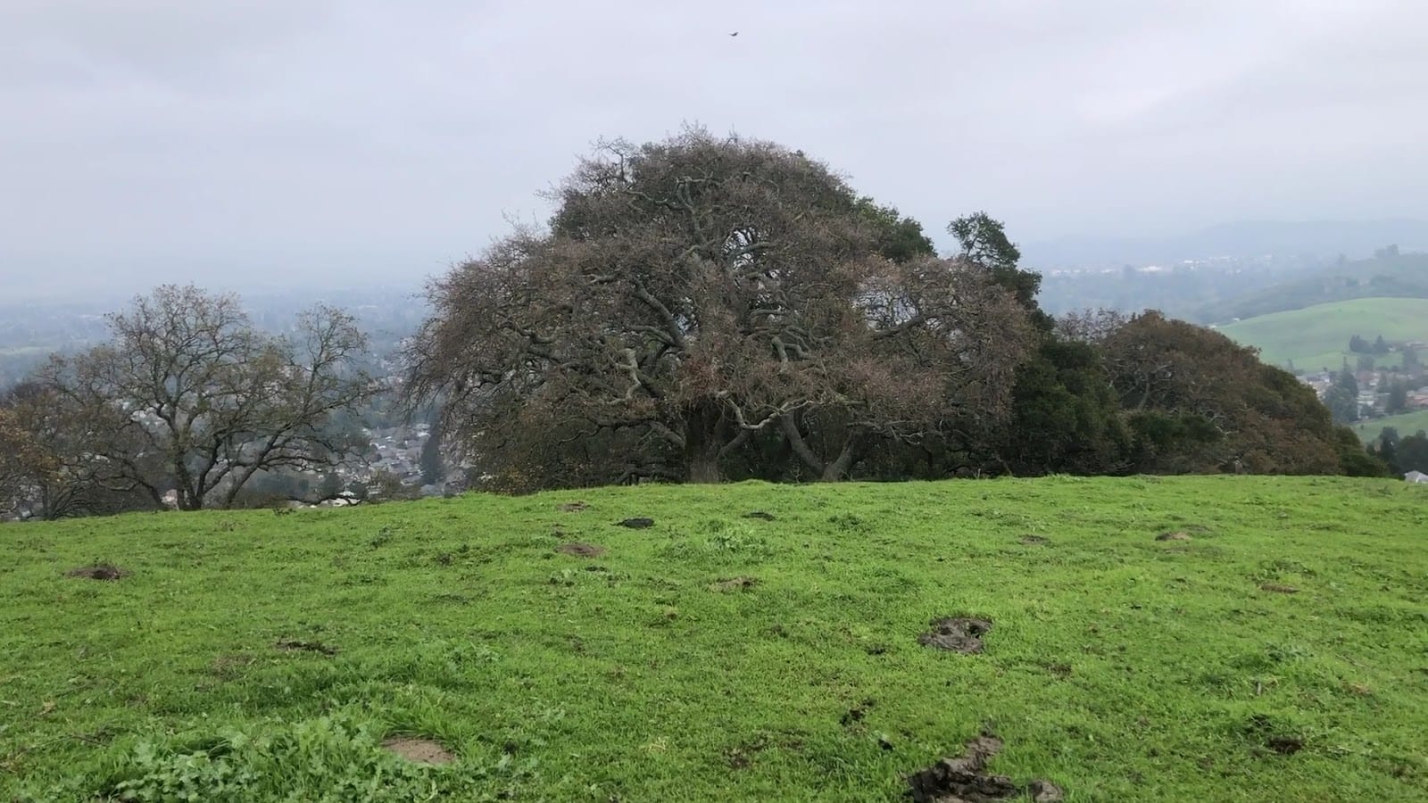 Timberhill Park, photo 2