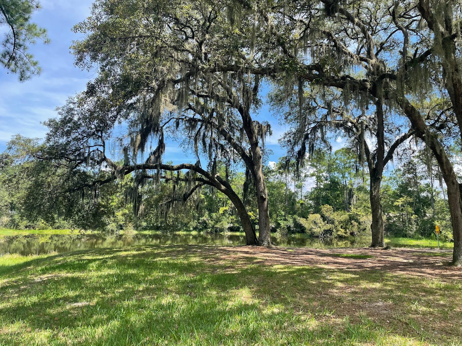 Magnolia Park