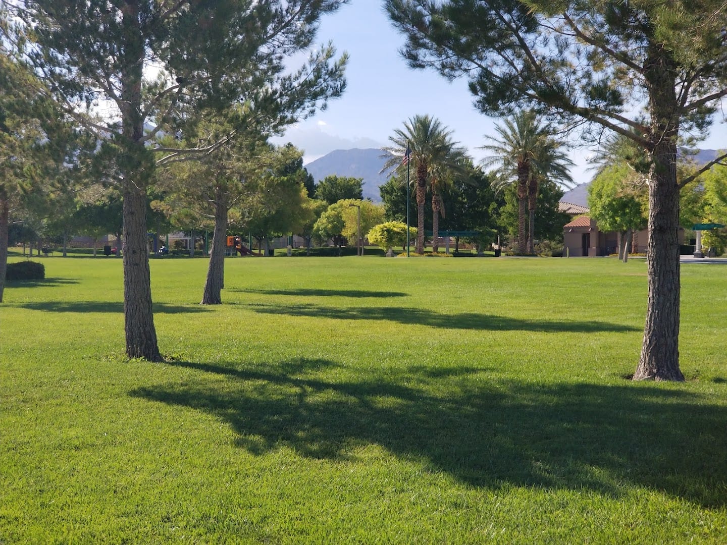 South Tower Park, photo 3