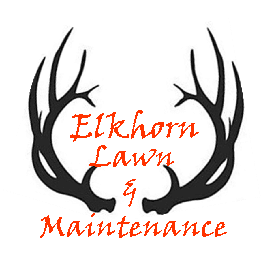 Elkhorn Lawn and Maintenance
