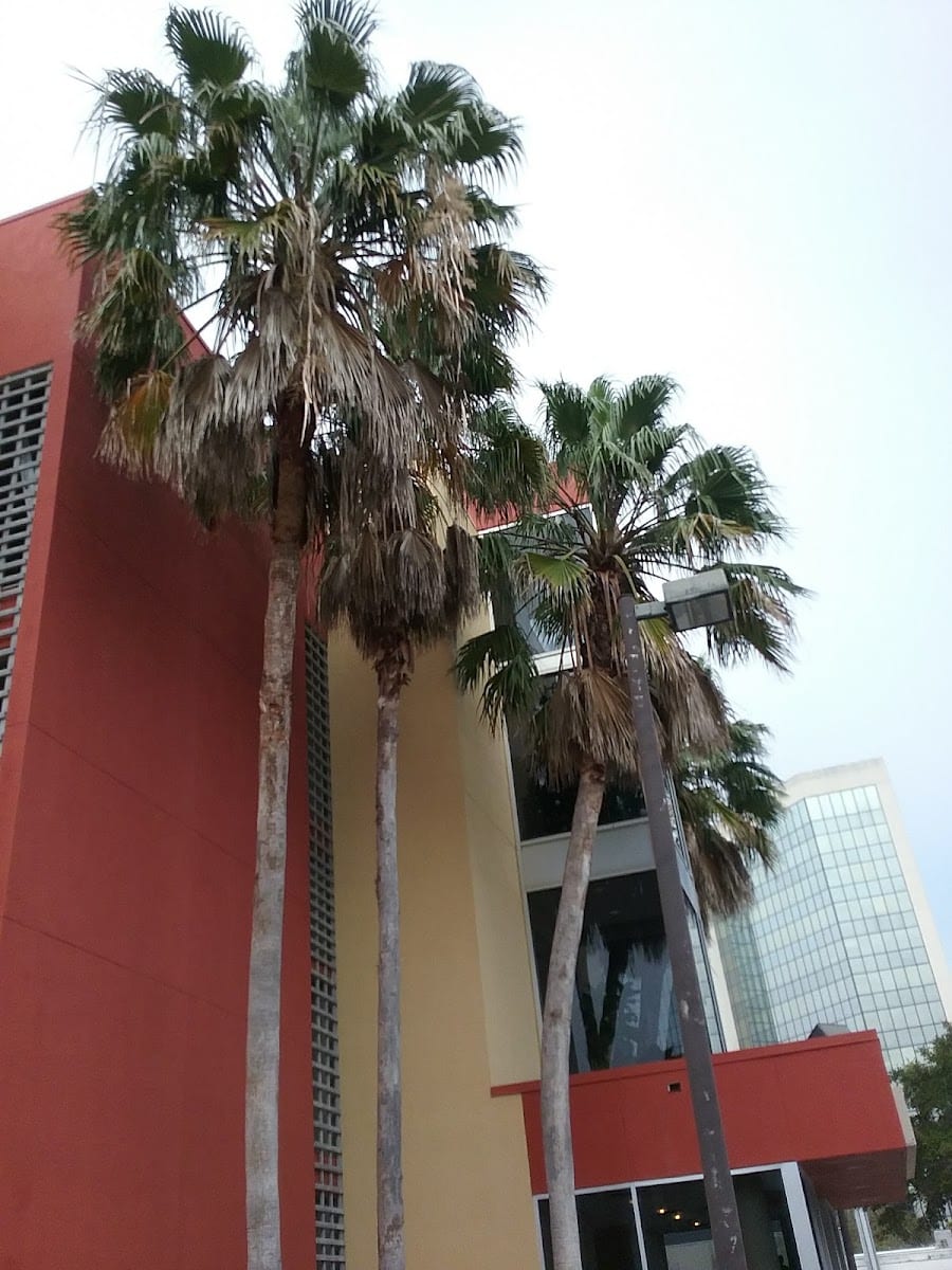 Keller Williams Sarasota, photo 4