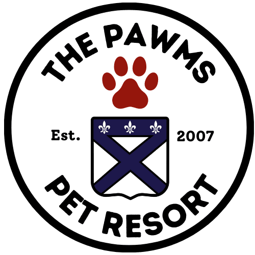 The Pawms Pet Resort Madison, photo 4