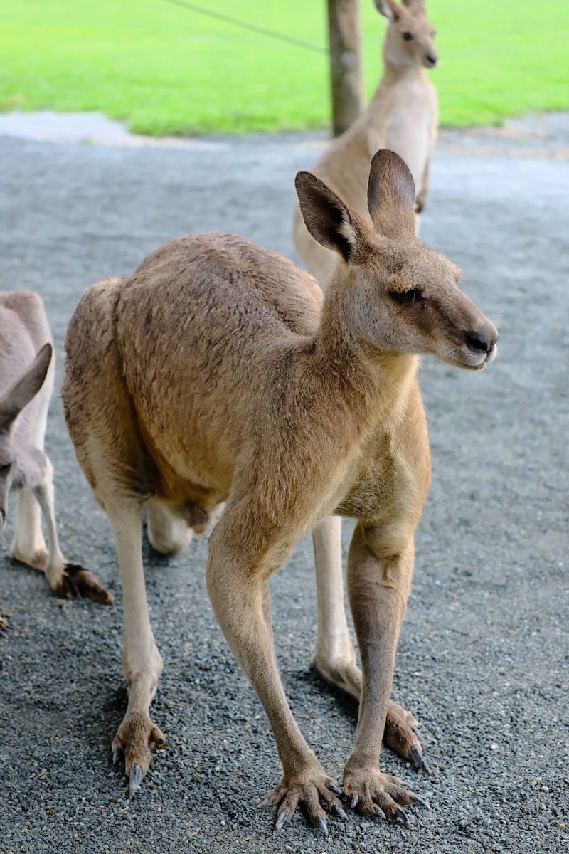 BREDL'S WILDLIFE, photo 4