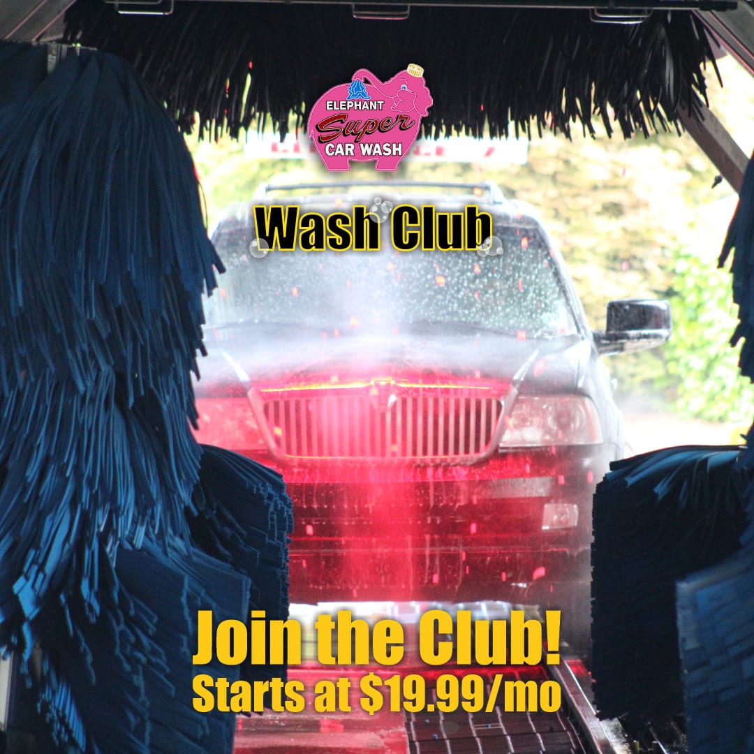 Elephant Car Wash, photo 4