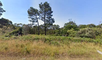 Hanns Creek Reserve