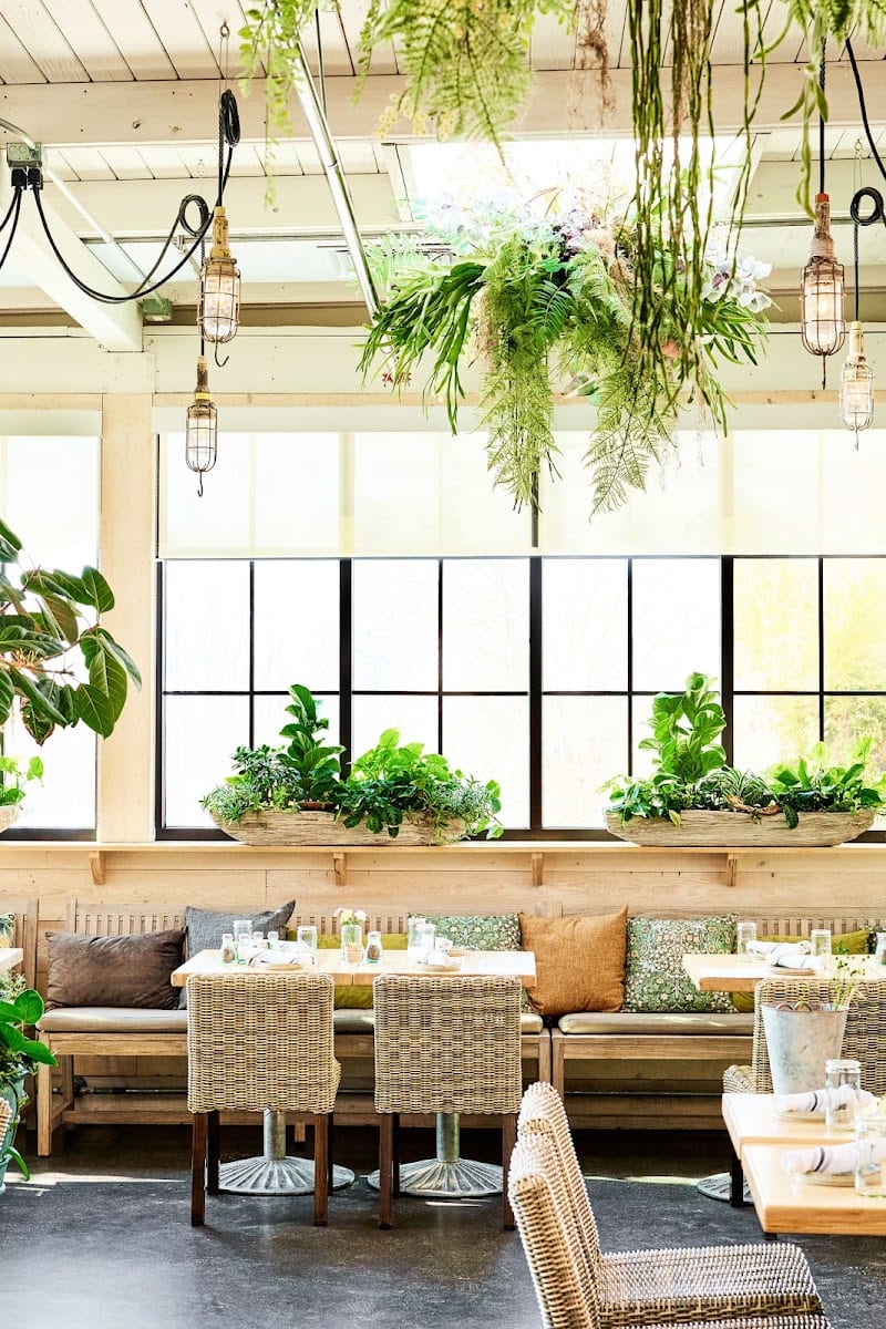 Terrain Cafe