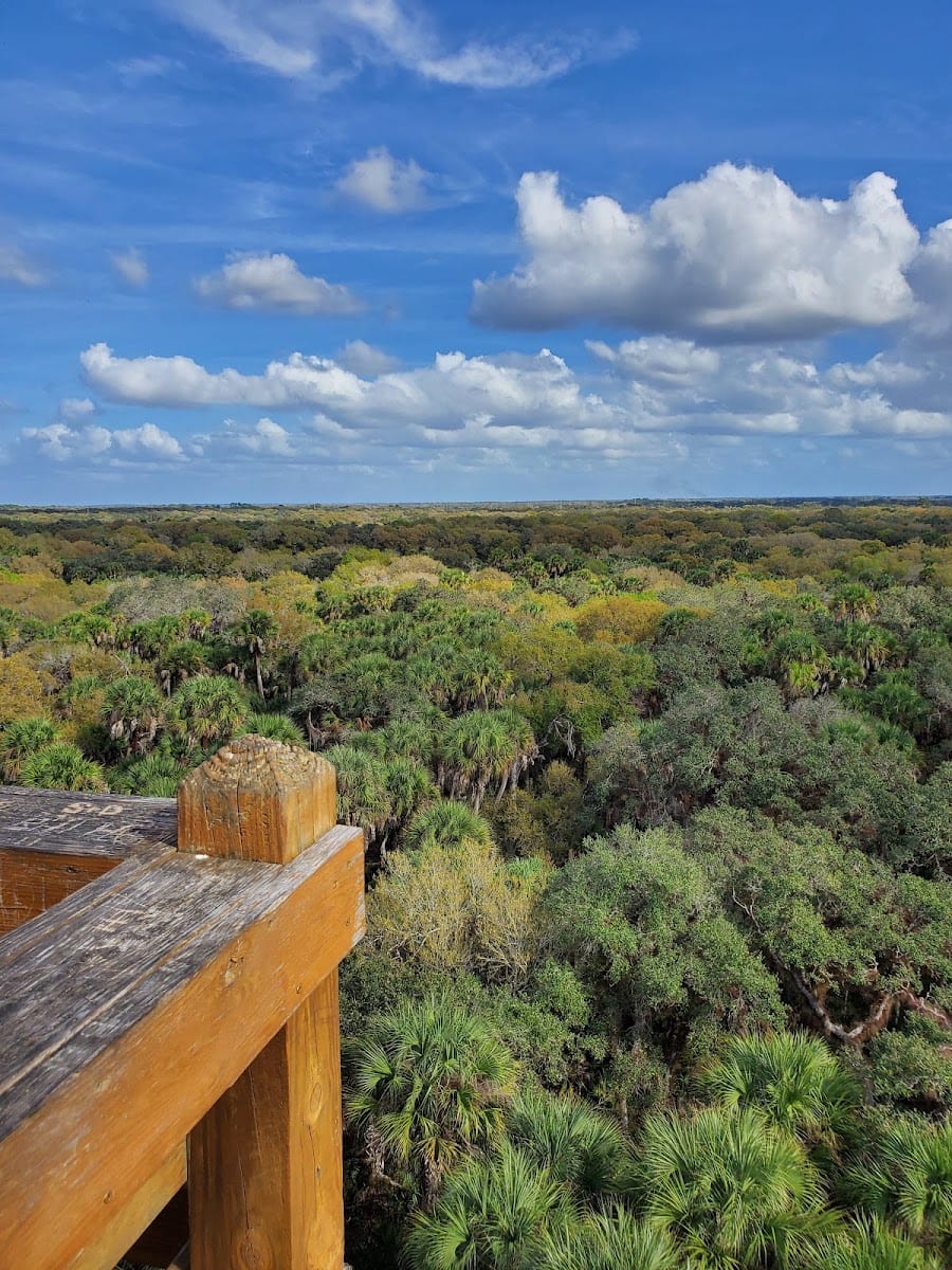 Myakka Canopy Walkway and Observation Tower, photo 3