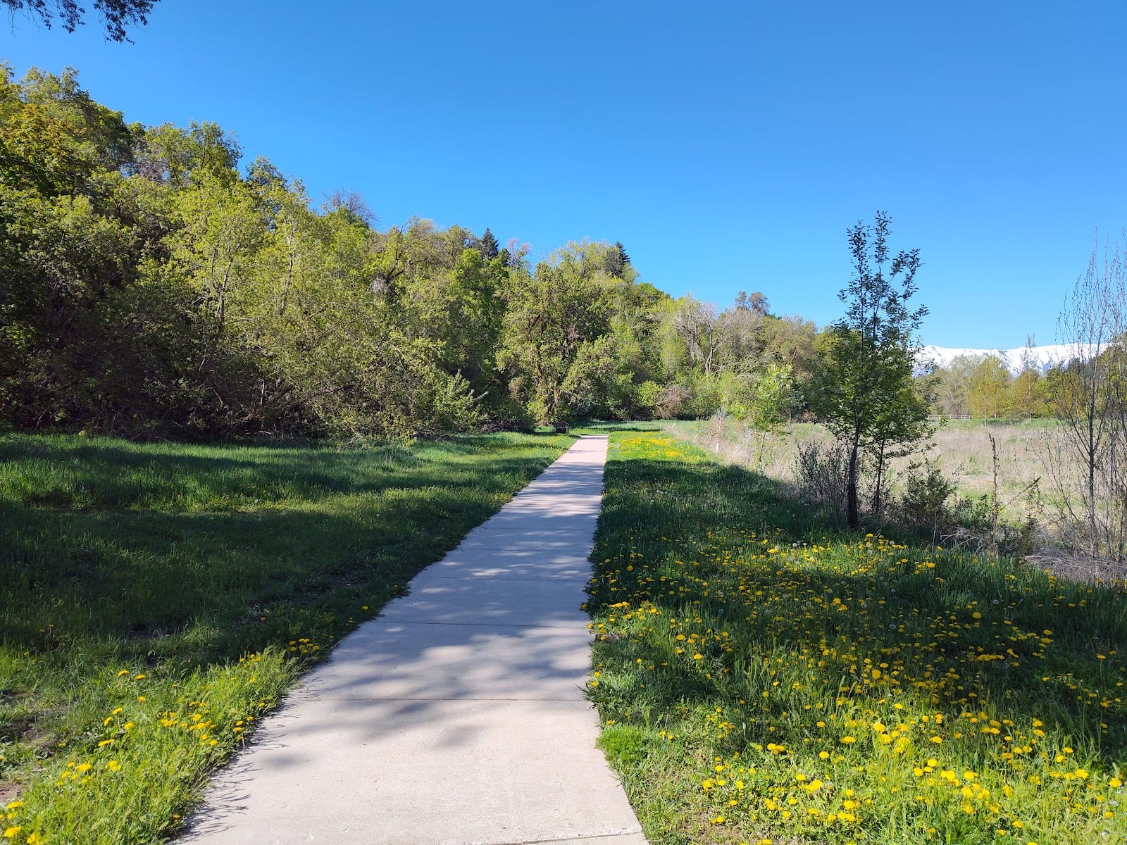 Denzil Stewart Nature Park, photo 3