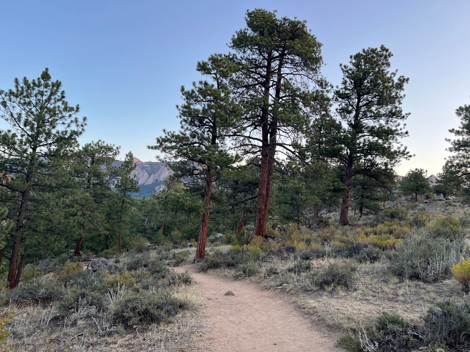 Knoll-Willows Open Space, photo 3