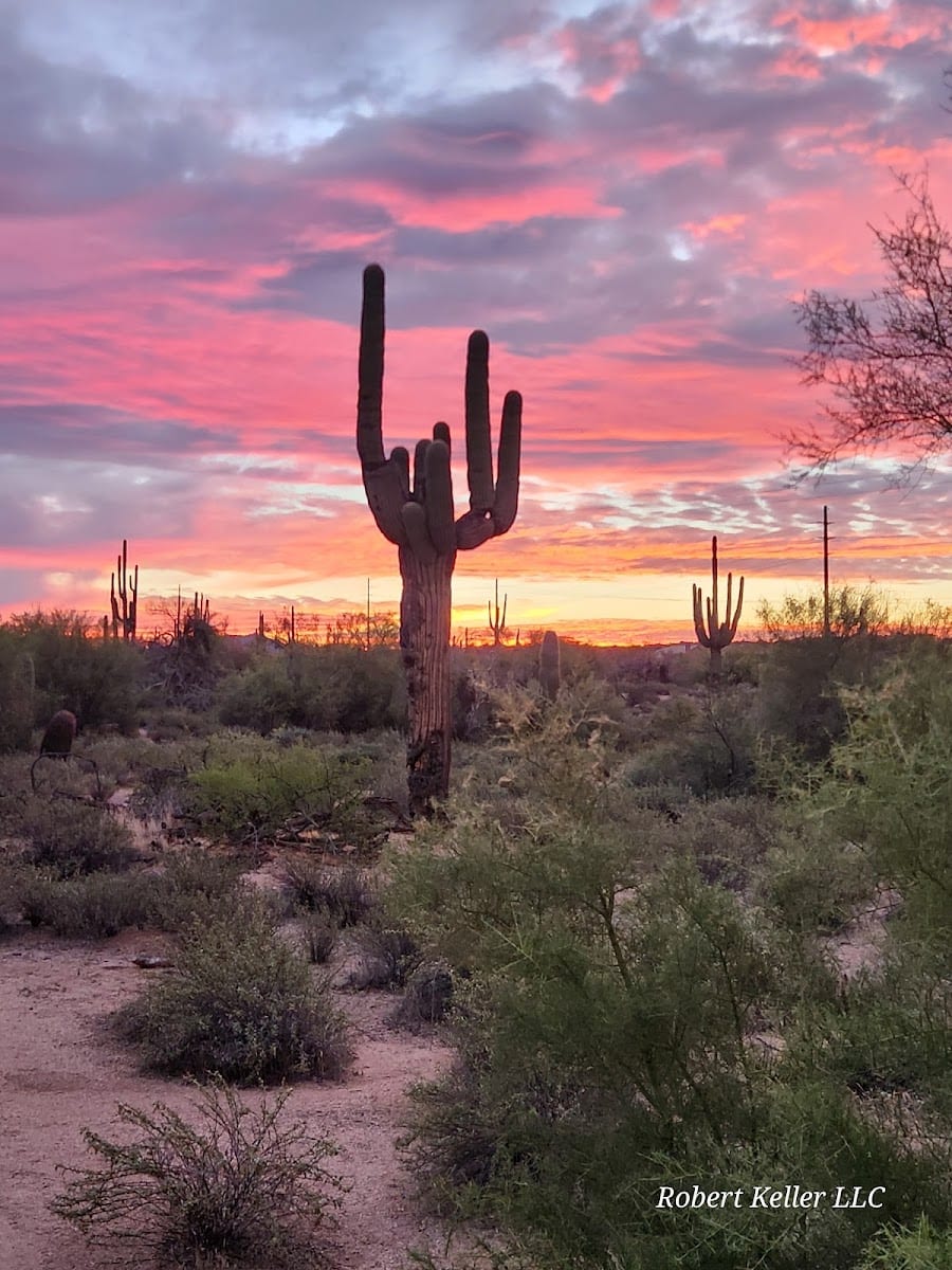 Pima Dynamite Trailhead