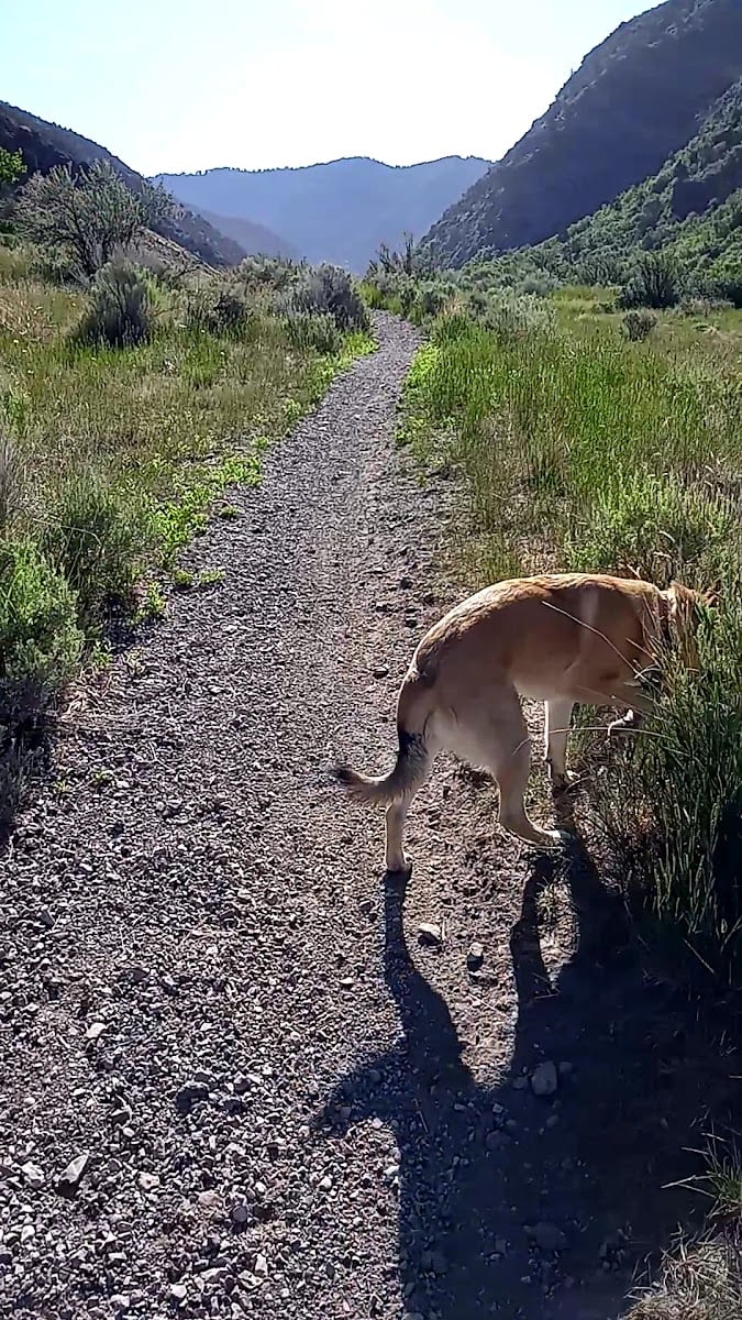 Ridgeline Trail Trailhead