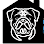 Maddog Real Estate Team