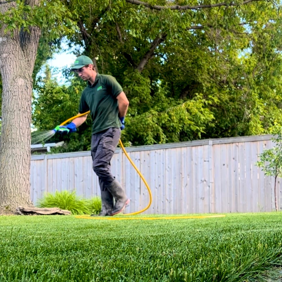 Lush Lawn Care