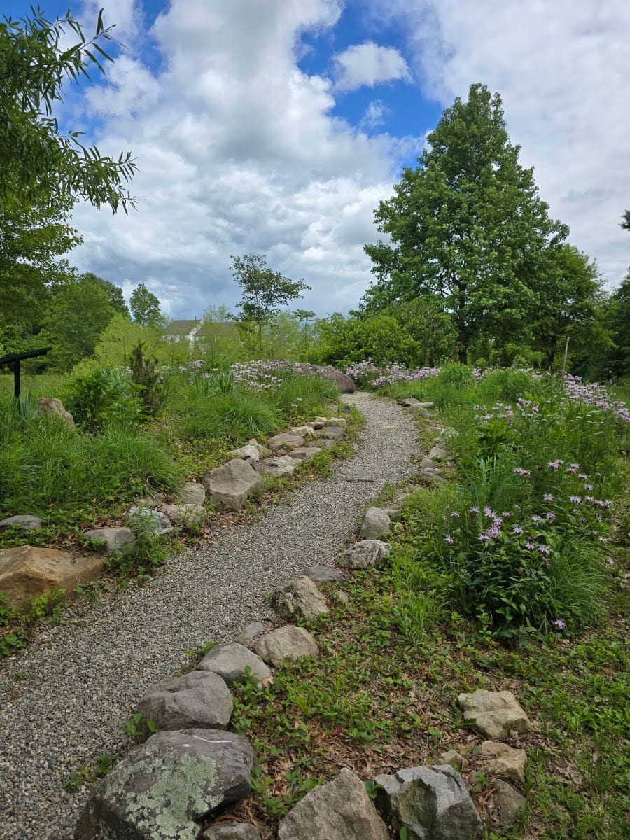 Central Park
