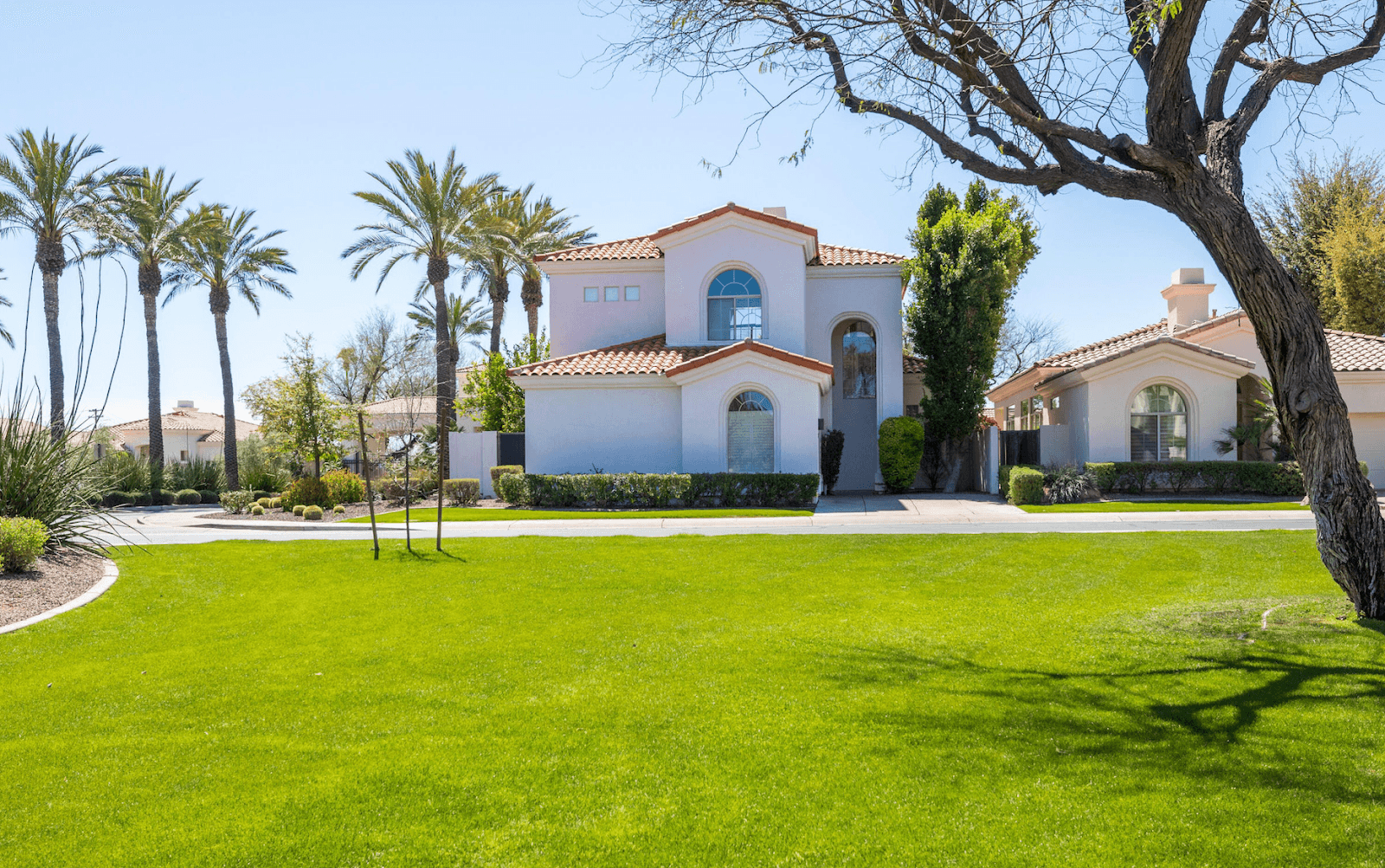 Aaron Benson - Realty One Group - ONEluxe - Scottsdale, Paradise Valley, Arcadia, PV - Luxury Realtor, photo 3