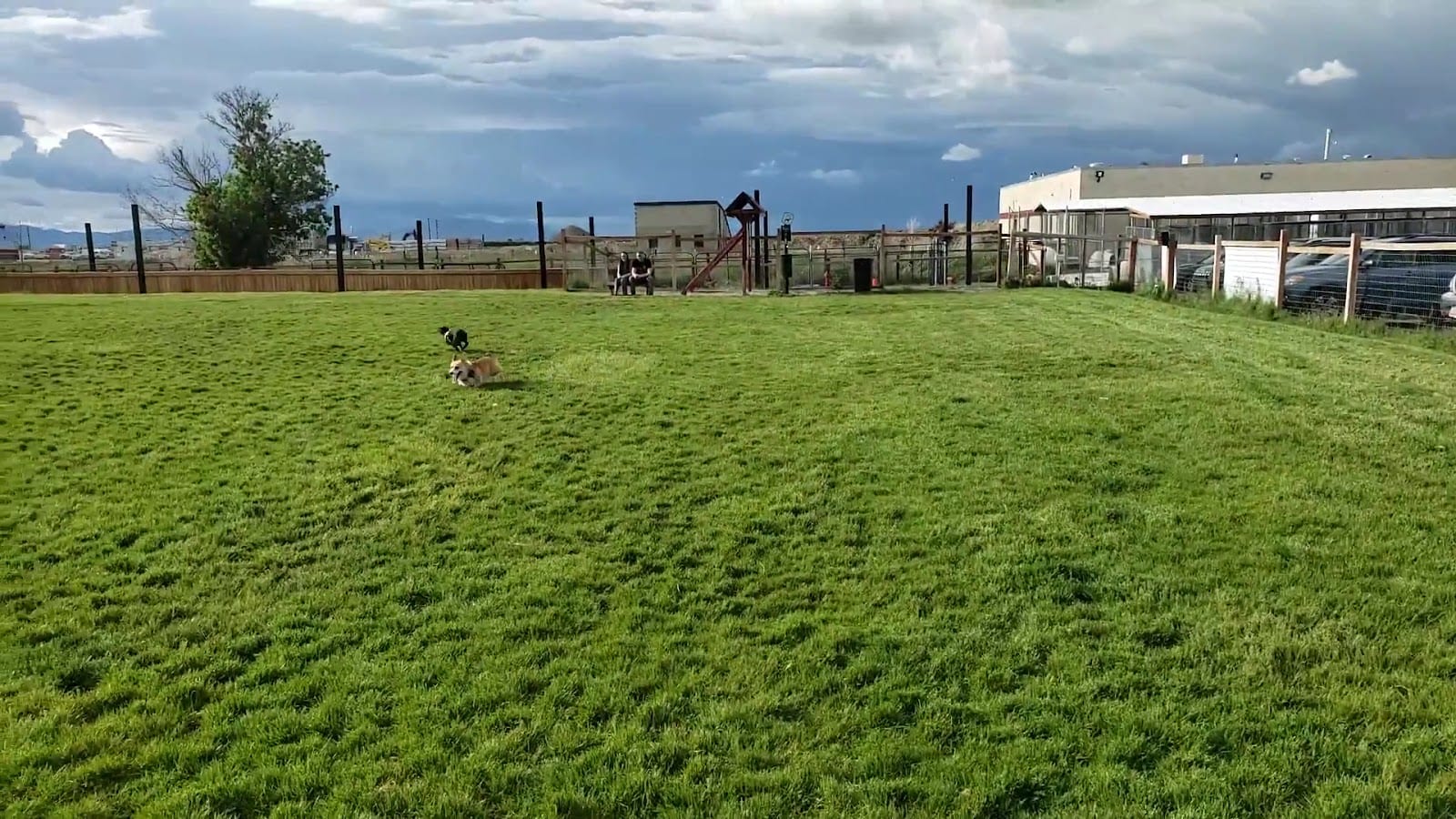 Cache Humane Society Dog Park, photo 2
