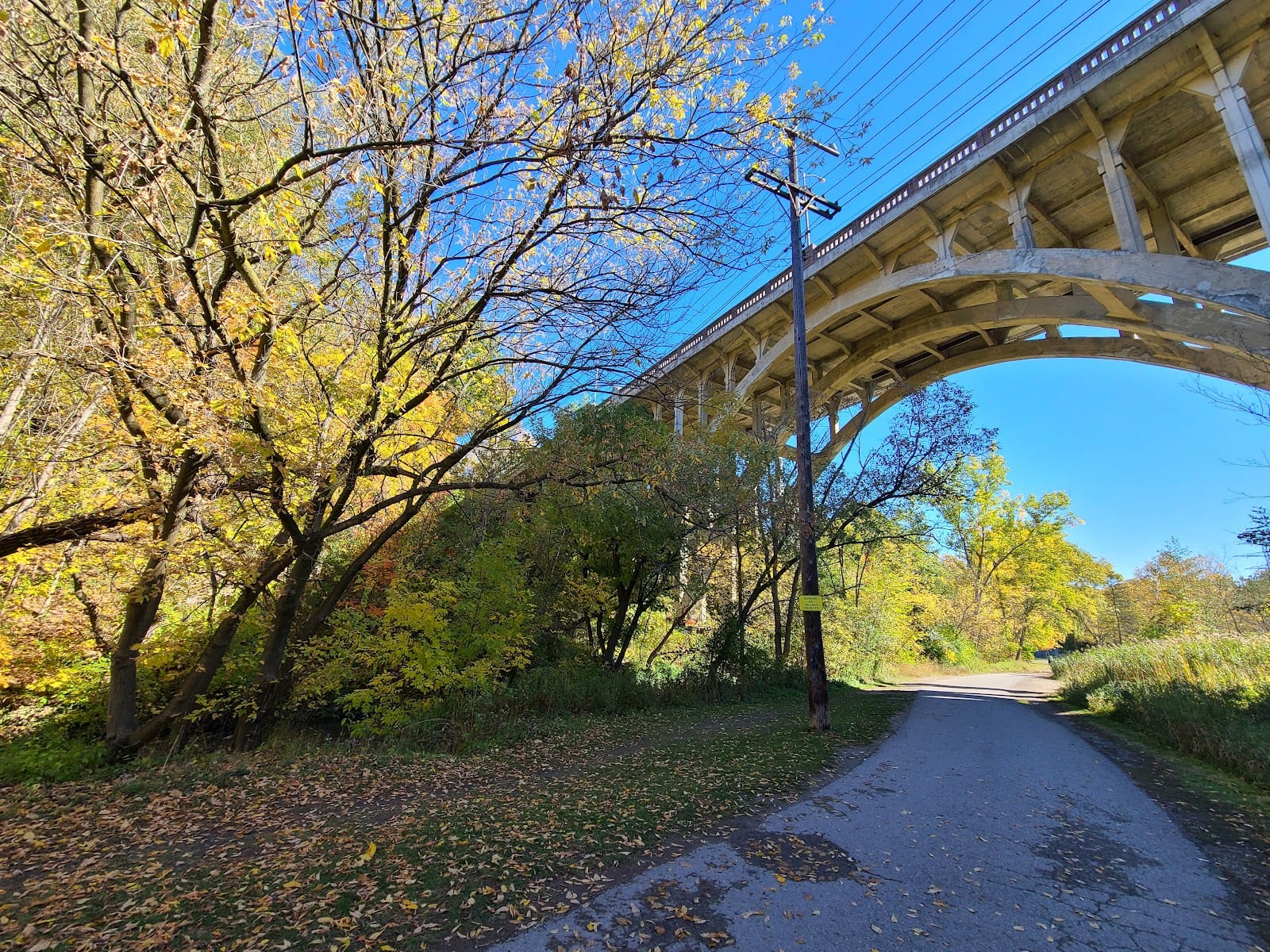 Taylor Creek Park, photo 3