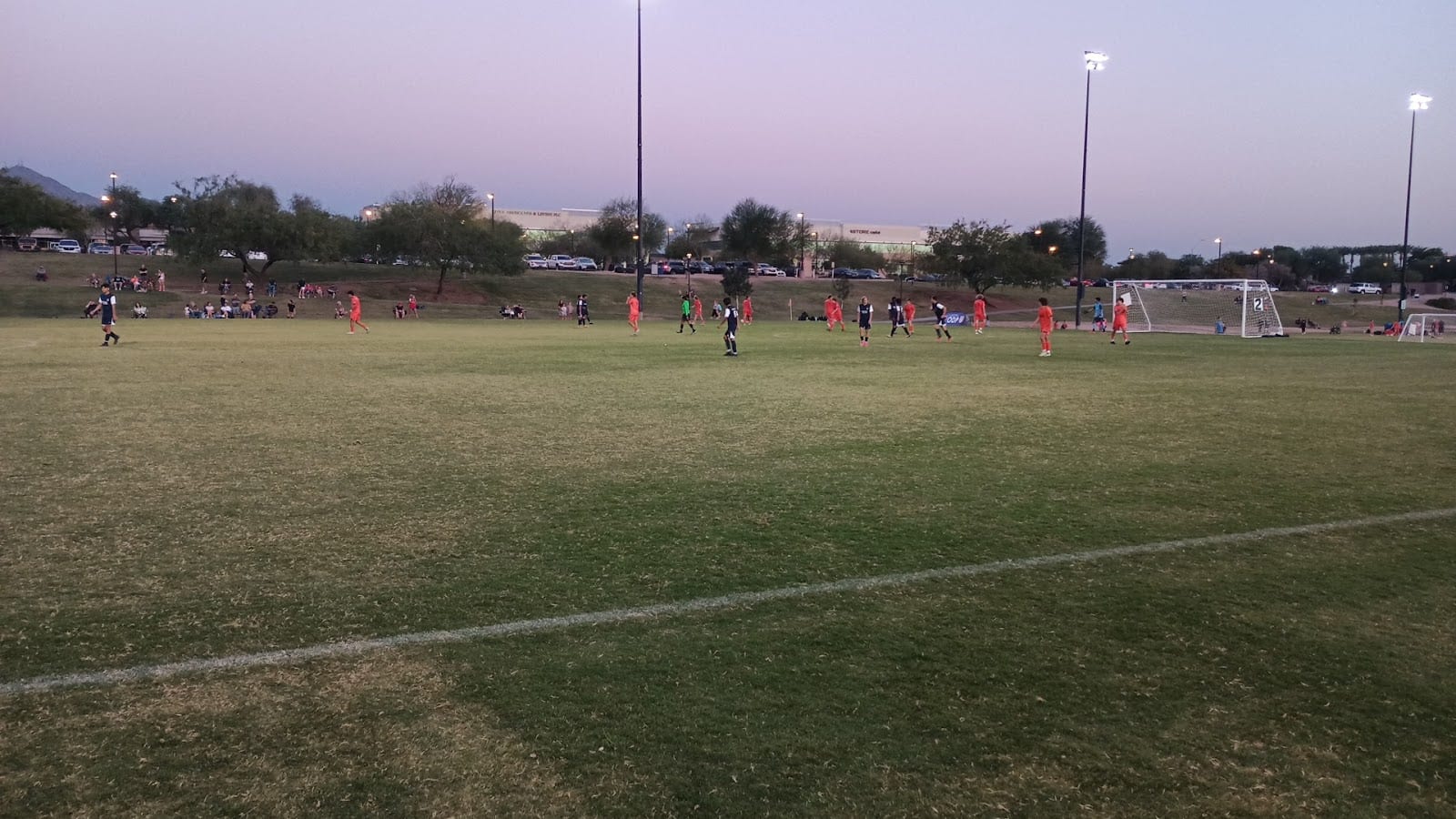 Field 2