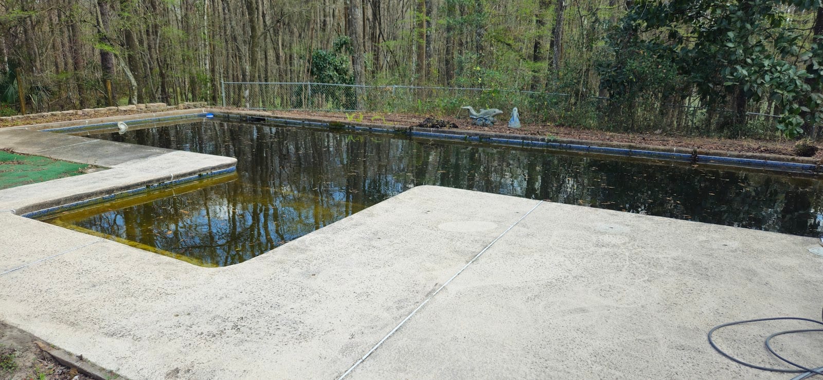 Lake Asbury Pools, photo 4