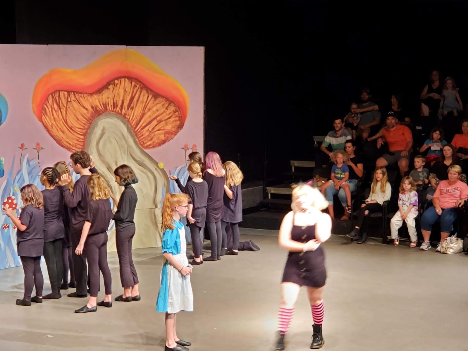 Arlene Mitchell Theater, photo 3