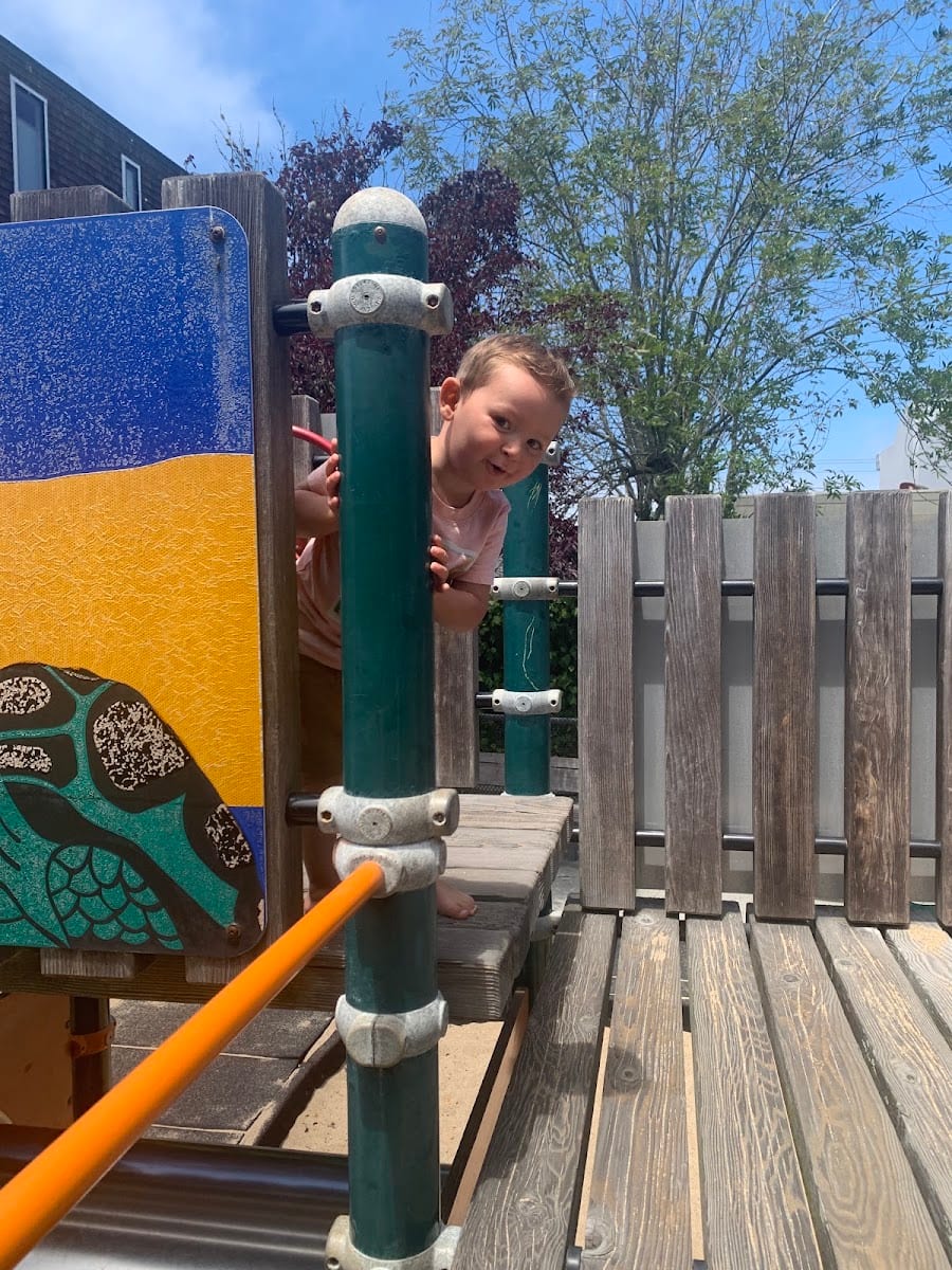 Cow Hollow Playground Park, photo 3