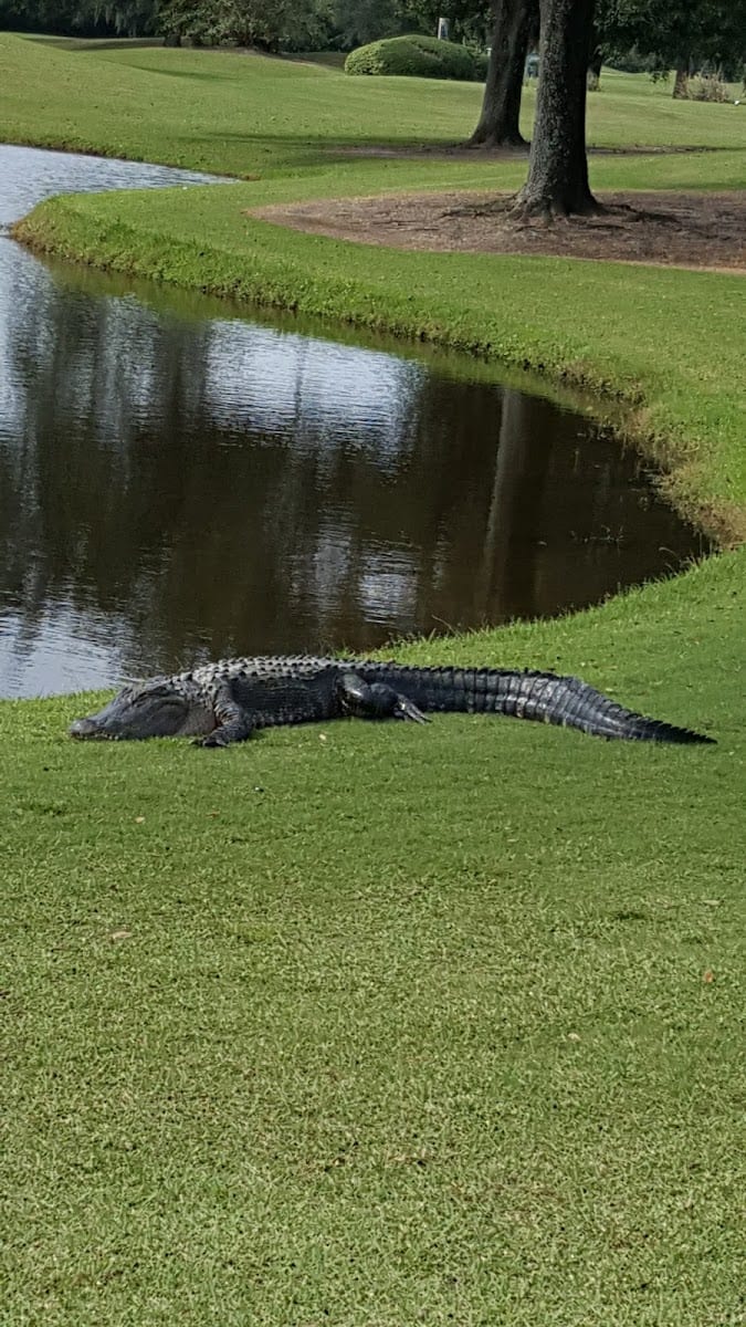 Tatum Ridge Golf Links