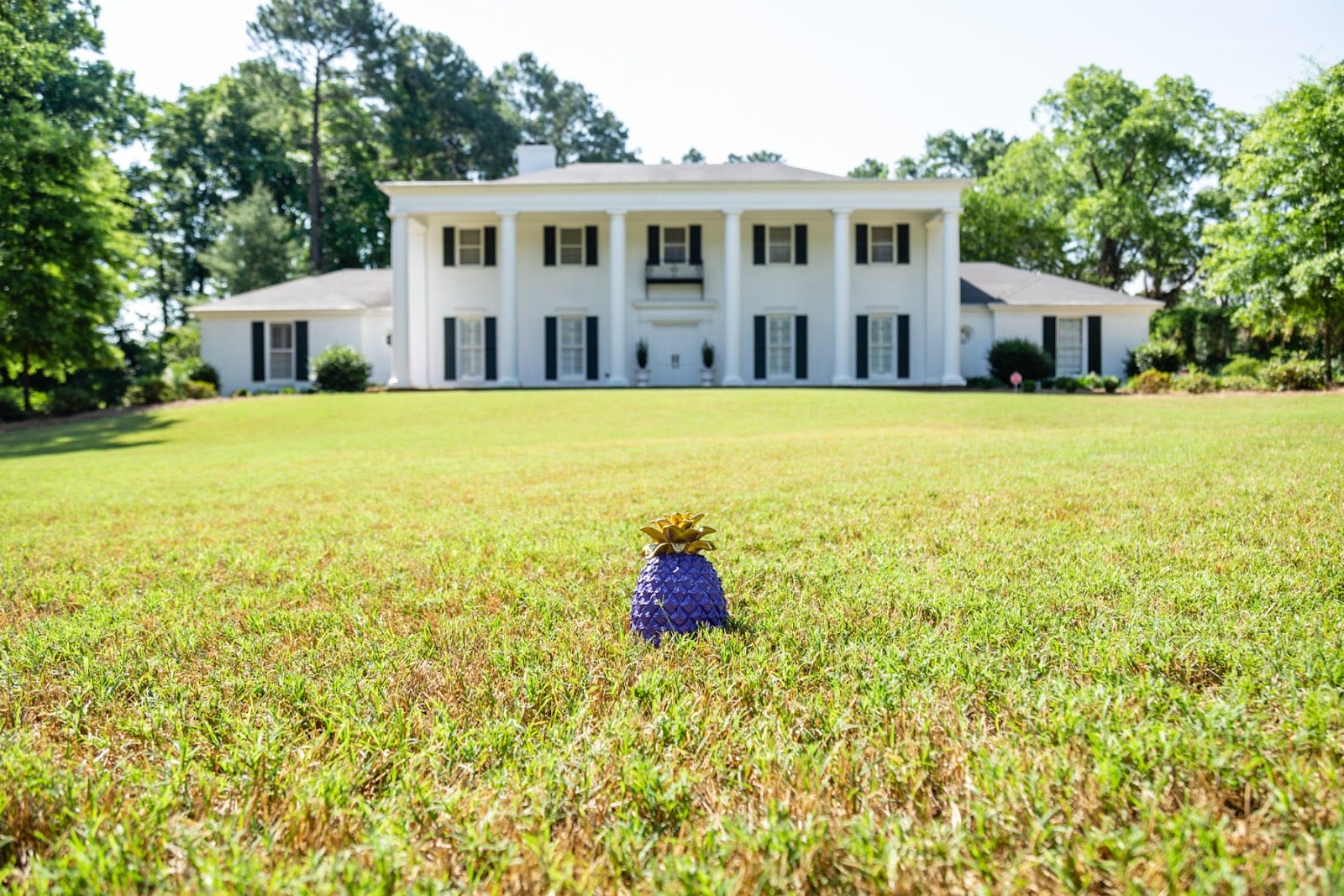 Real Estate by Ria, LLC, photo 4