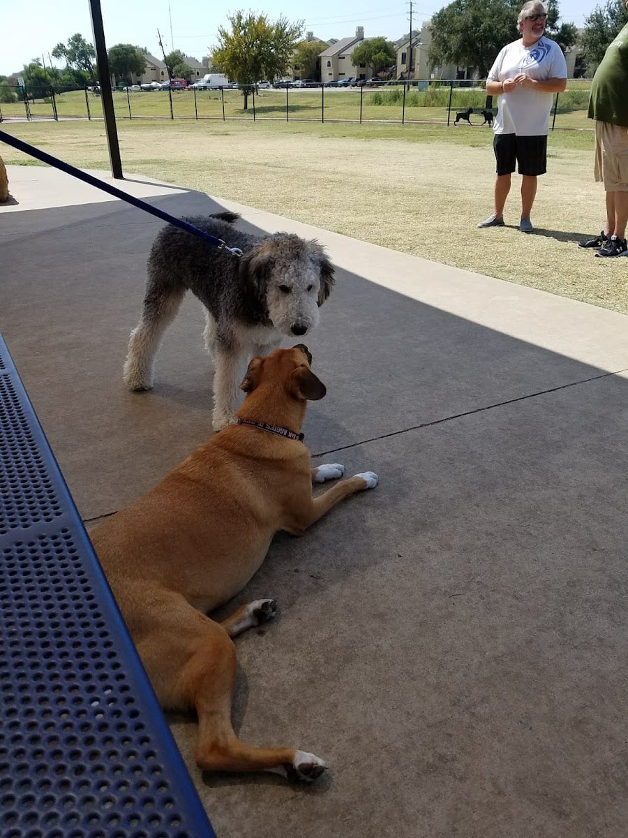 Rosemeade Dog Park, photo 3