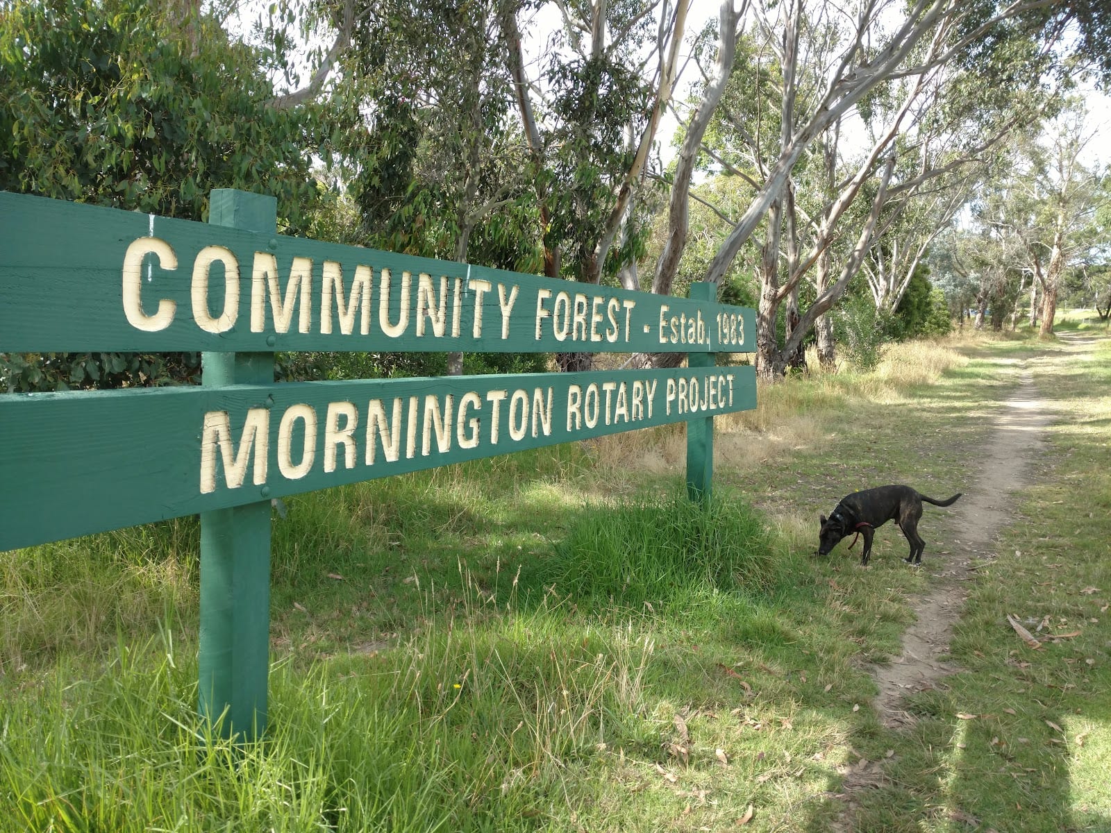 The Briars Community Forest
