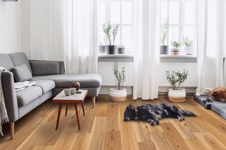 Flooring Options By Carpet One, photo 3