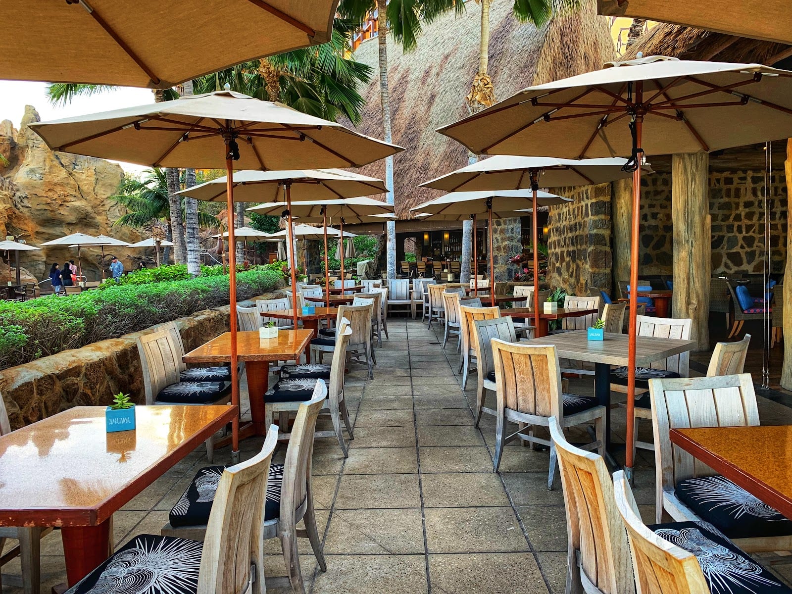 Ama Ama Restaurant, photo 3