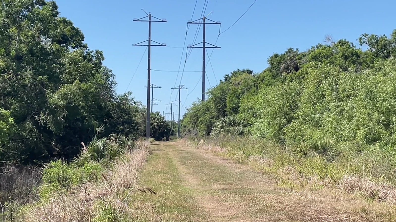 Myakka River State Park Powerline Road Trailhead, photo 2