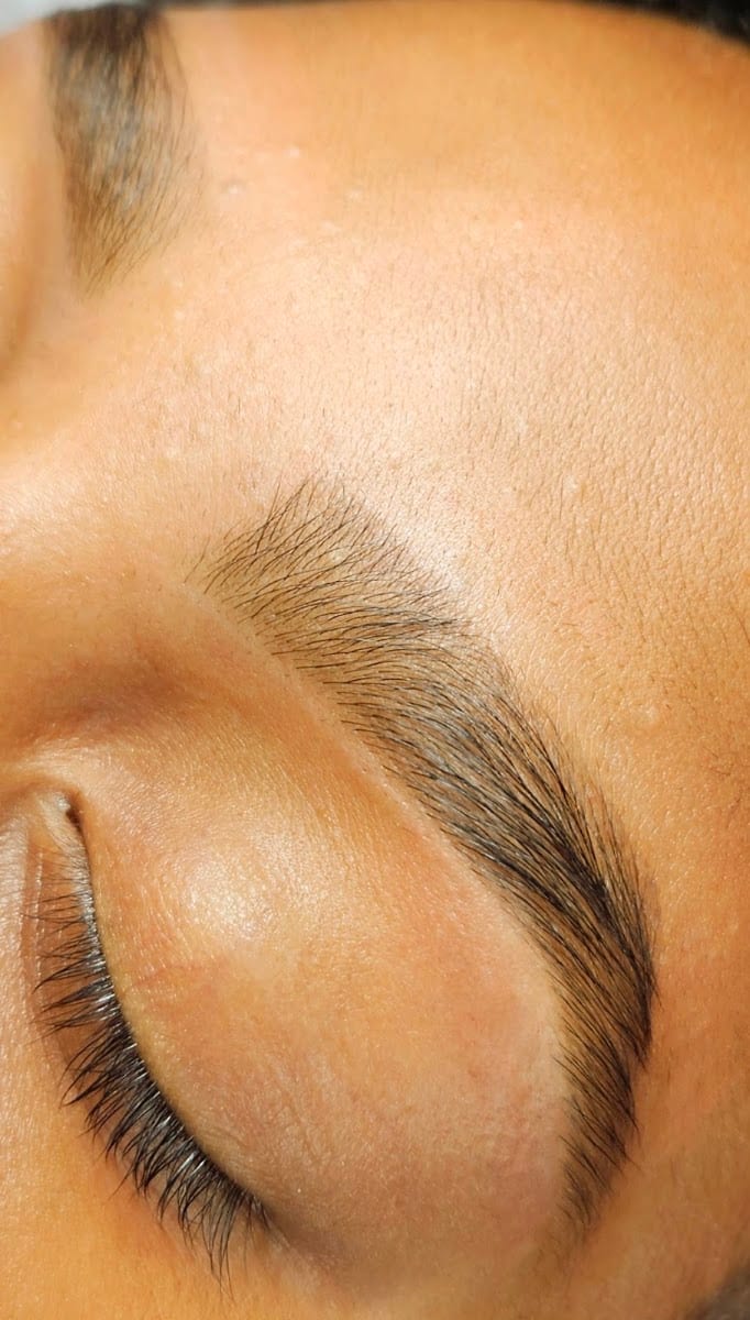 Beauty Concepts Lashes and Brows