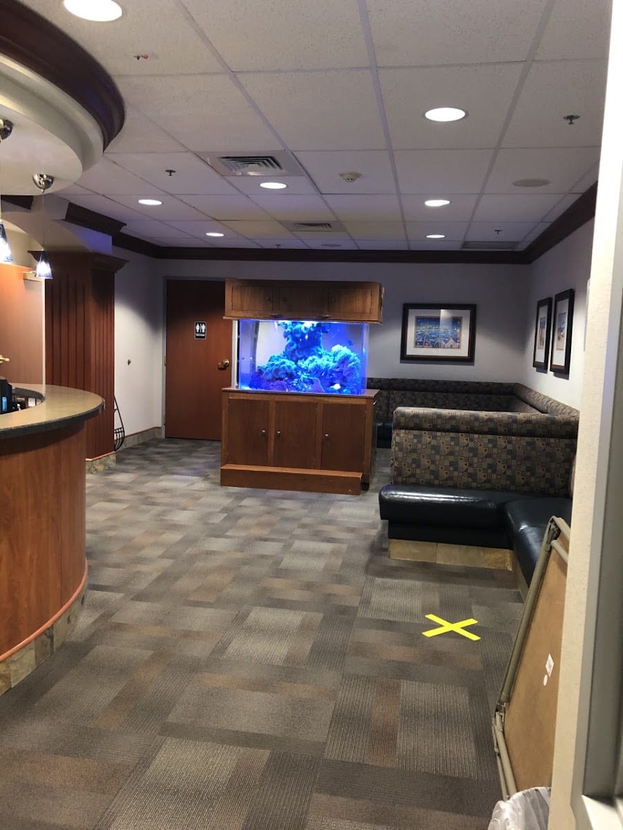 Southmoor Pediatric Dentistry, photo 4