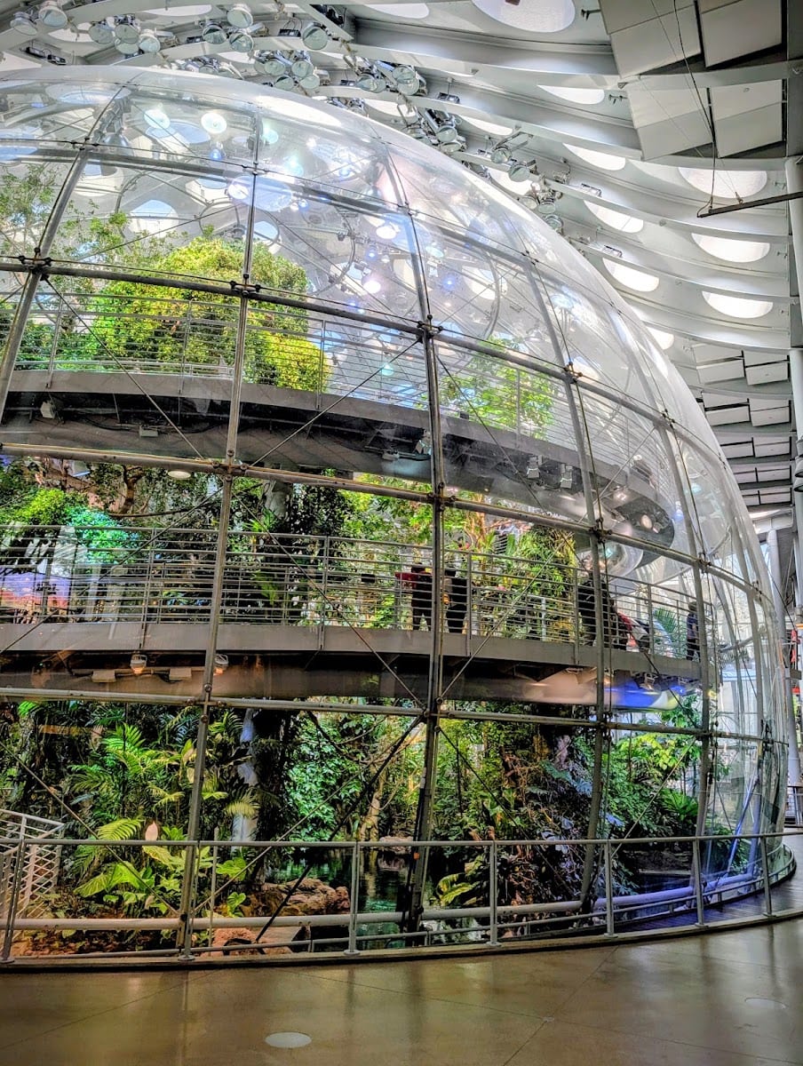 California Academy of Sciences, photo 2
