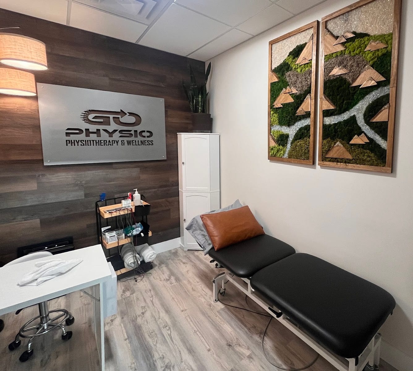 GO Physio, photo 3