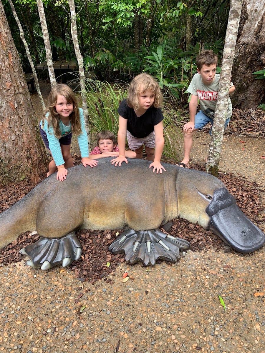 Platypus Lodge Restaurant & Cafe', photo 4